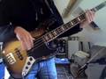 Reggae Bass Peter Tosh 'Maga Dog'