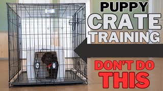 Everything You Need To Know About Crate Training - Pro Tips & Tricks