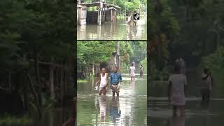 Several people affected due to flood situation in Assam’s Bajali, Barpeta