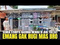 KIOS JEMPOLAN ! BURUNG GACORAN MEWAH SEMUA DI JUAL FULLSET GRATIS SANGKAR ! EMANG GAK TEKOR BRO ?