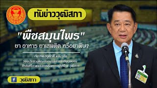 ทันข่าววุฒิสภา