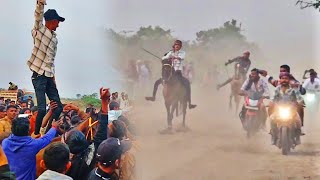 kutch best horse race in hamira mora : kari mastani \u0026 701 \u0026 723