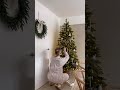 second christmas tree 🎄✨ christmasdecor christmas2023 christmastree christmas festivedecor