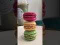 Our Macaroon | Bobachacha