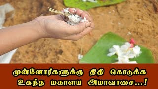 முன்னோர்களுக்கு திதி கொடுக்க உகந்த மகாளய அமாவாசை...!