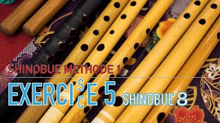 Shinobue Methode 1 Exercice5 -Shinobue8