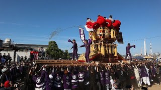 伊予三島秋祭り2023  金子町太鼓台　太鼓台統一寄せ　10.22(日)  港公園　かきくらべ