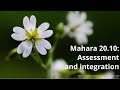 Mahara 20.10: Assessment and integration