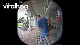 Iguana Showed Up at My Door || ViralHog