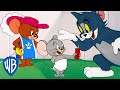 Tom y Jerry en Latino | Nibbles, el más adorable | WB Kids