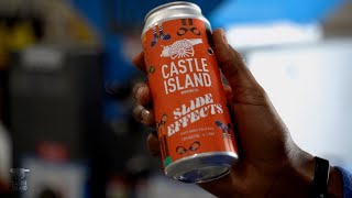 Slide Effects may include... Castle Island x ISlide