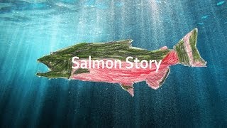 Salmon Story