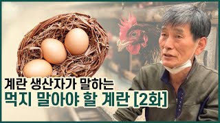 (농장인터뷰) 건강한계란 안심계란 찾으려면 이걸 기억하세요- [유나네자연숲농장]