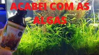 Aquário plantado com uso de carbono líquido, rotina de um aquarista #2