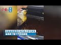 后备箱装着菜籽油的盖子意外掉落，油洒满了整个汽车后备箱