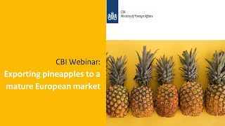 CBI Webinar: Exporting pineapples to a mature European market