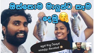 ඔක්කොම මාලුන්ට කෑම 😋 | Feeding All My Fish 🙈🙈 (හැමෝම හොයපු අලුතෙන් ආපු මාලුත් ඉන්නවා 🤭)