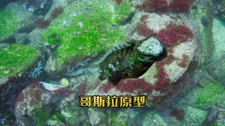 哥斯拉原型 海鬣蜥