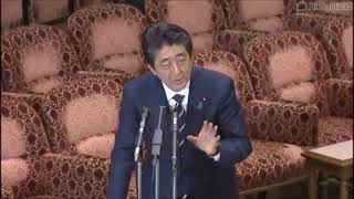 小池晃・共産党【国会中継 参議院 予算委員会】平成30年3月28日