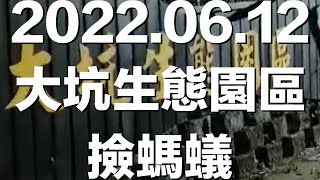 2022.06.12 大坑生態園區撿螞蟻