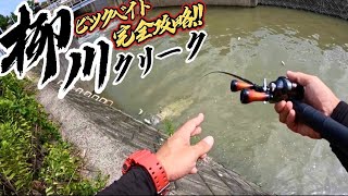 【柳川クリーク】激シブ人気クリークで流行りの\