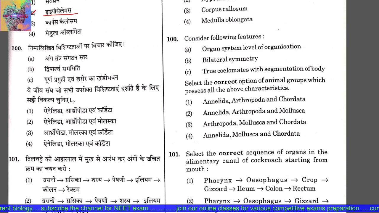 नीट परीक्षा 2019 हल प्रश्नपत्र....NEET Exam 2019 Solved Paper - YouTube