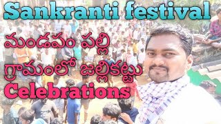 Jallikattu | Celebrations | In | Mandapampalle | Village | Chandragiri | Mandal | Chittoor | Telugu