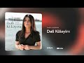 samira alimaryam — dəli küləyim rəsmi audio