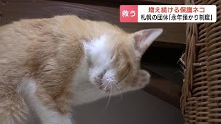 年間1000万円経費も…多頭飼育崩壊で保護団体もひっ迫「永年預かり」飼えなくなるまで一緒に過ごす制度を札幌の保護団体が新設