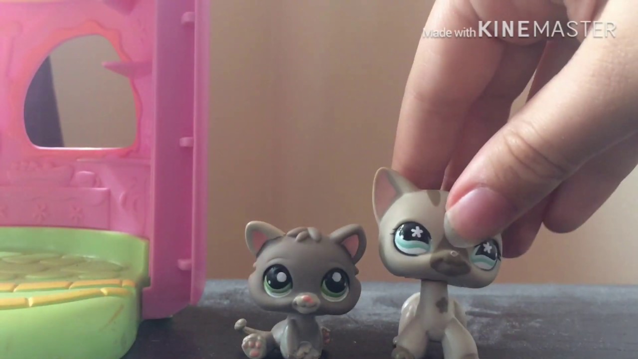 Lps Package Haul Youtube