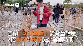 餵食小鹿！宜蘭斑比山丘變身童話屋 2招入園小訣竅減少等候時間｜旅遊