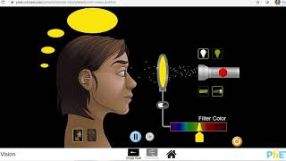 SINGLE BULB SIMULATION PHET