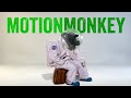 MotionMonkey for After Effects