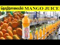 How Maaza slice frooti produced in  factories | தொழிற்சாலையில் மேங்கோ ஜூஸ் எப்படி தயாரிக்கிறார்கள்