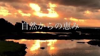 空と海と太陽と