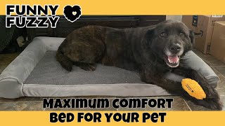 Funny Fuzzy Dog Approved Bed