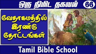 வேதாகமத்தில் இரண்டு தோட்டங்கள் | CHRISTIAN MESSAGES | TAMIL BIBLE SCHOOL STORIES | SHORTS PEBBLES