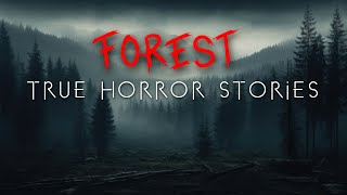 3 Unnerving Forest Hiking & Camping Horror Stories