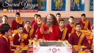 Sacred Morning Yagya LIVE  at Parmarth Niketan Ashram, Rishikesh || 01 Jan 2025 ||