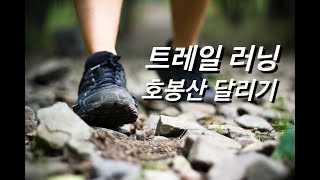 호봉산 둘레길 달리기_산에서 무서운 개를 만났을 때 대처법