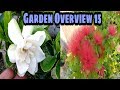 My Garden Overview Episode 15, Gardenia, Powder Puff, by Garden Gyan