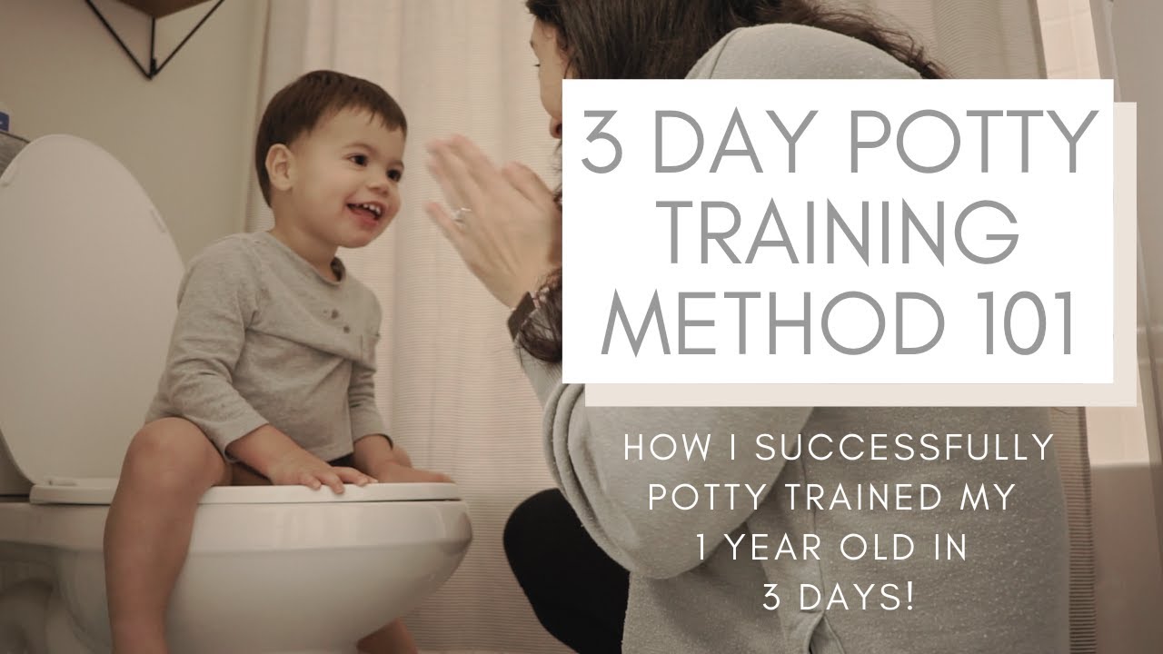 3 Day Potty Training Method 101 How I Successfully Potty Trained My 1