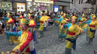 【４K】京町・新京橋「ゑびすしばてん連」　高知よさこい２０２４　後夜祭　帯屋町会場