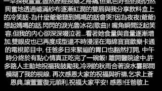 送给公主SELINA的新年礼物