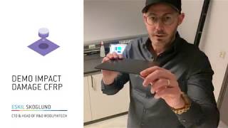 dolphicam2 cfrp impact damage demo