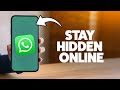 How To Appear Offline On WhatsApp While Online 2025 (iPhone & Android)
