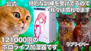 121000円のホロライブの加湿器が発売決定するも、そういうのに慣れすぎて冷静に分析するラブライバーたち【猫ミーム】 #猫マニ #猫ミーム