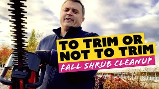 To Trim or Not to Trim Shrubs in the Fall