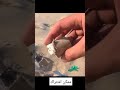 تجربة المتفجرات على الولاعة 💣 explosives against the