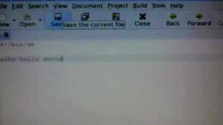 Puppy Linux Basic write hello world bash shell program